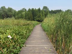 -溱湖国家湿地公园