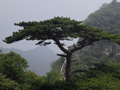 -圣莲山风景区