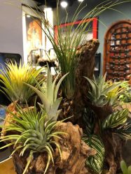 -周忆刺青原创设计定制