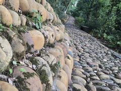 -忠山公园