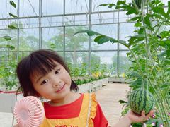 -迪茵湖田家舍生态农场