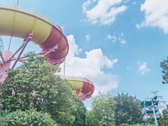 -美的鹭湖探索王国