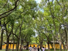 -西园戒幢律寺