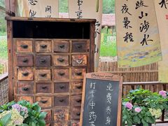 -沂蒙山旅游区云蒙景区(蒙山国家森林公园)