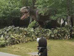 -自然谷恐龙园