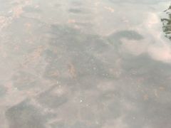 -芙蓉街-王府池子