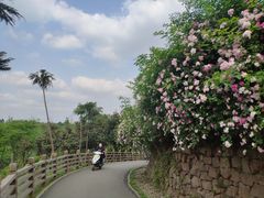 -白鹭湾湿地公园