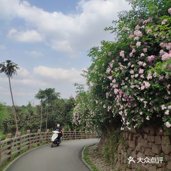 明媚的春天适合闲适的春游和野餐 白鹭湾真真是个非常适