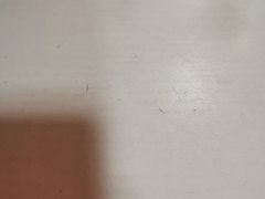 -项记面馆(明瓦廊店)