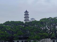 -江心屿景区