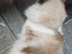 -零纪元VR体验馆·桌游(黄浦店)