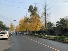 -四川大学(望江校区)