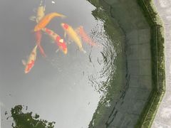 -西安市广仁寺