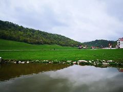 -关山草原