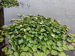 -宁波杭州湾国家湿地公园