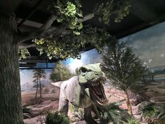 -国家自然博物馆