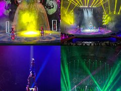 -灵玲国际马戏城