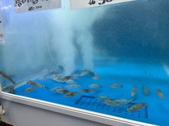 -西归浦每天偶来市场