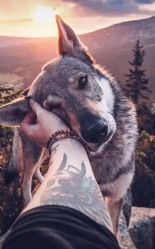 -飛凡TATTOO纹身•原创