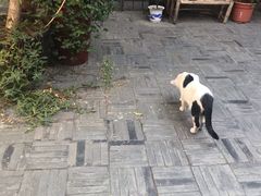 -二楼南书房