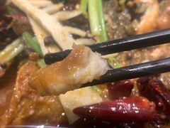 -老板恋上鱼(高新万达店)