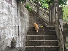 -关岳庙