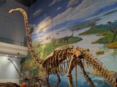 -自贡恐龙博物馆