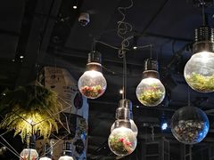 大堂-胡桃里乐队酒馆(长春总店)
