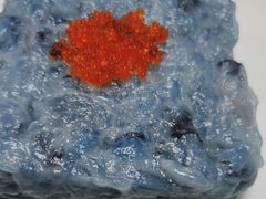 -蜀大侠火锅(春熙路店)