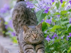 -葛记红焖羊肉(和平路形象店)