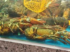 -盒马鲜生(189购物中心店)