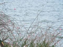 -东钱湖旅游度假区