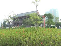 -飞来湖湿地公园