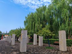 -唐城墙遗址公园