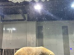 -大连圣亚海洋世界