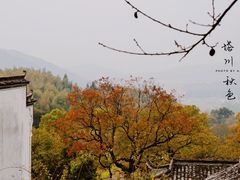 -塔川景区
