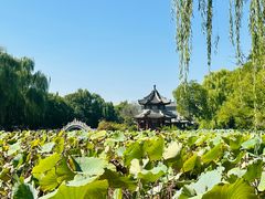 -莲池书院博物馆