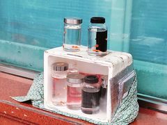 -哈尔滨道外花鸟鱼市场