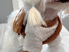 -萌宠之家·腊肠犬·马尔泰·小体犬舍