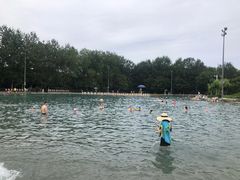-柳浪游泳场
