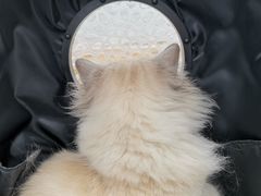 -北戴河东海水浴场