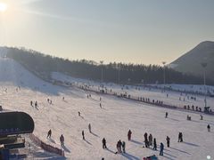 -东北亚滑雪场