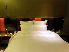 -南京禄口机场雅高铂尔曼大酒店