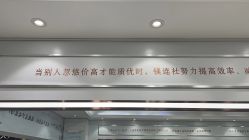 -镁连社·美联社