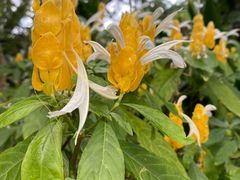 -华南国家植物园-售票处