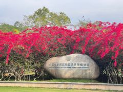 -中国科学院西双版纳热带植物园