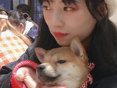 -逗柴咖啡屋·狗咖猫咖宠物桌游