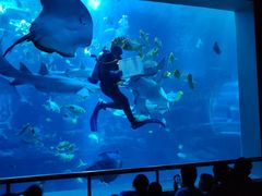 -太平洋海底世界