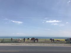 -青海湖国家重点风景名胜区