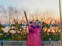 蓝蝴蝶-Tomacado花厨(in77·杭州首店)